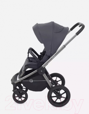 Детская универсальная коляска Rant Flex Pro 2 в 1 2023 / RA074