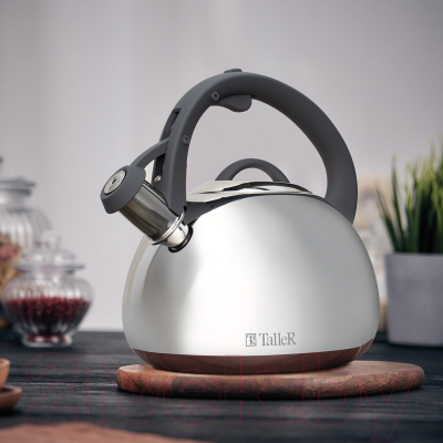 Чайник со свистком TalleR TR-11371
