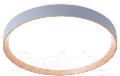 Потолочный светильник Ambrella FZ1322