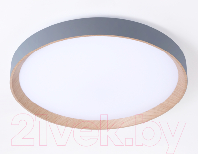 Потолочный светильник Ambrella FZ1322