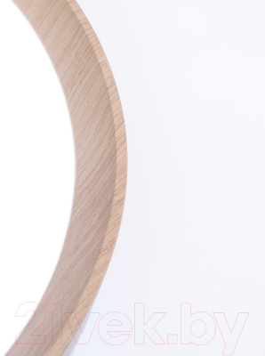 Потолочный светильник Ambrella FZ1322