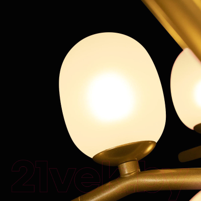 Люстра Loftit Sakura 10212/12