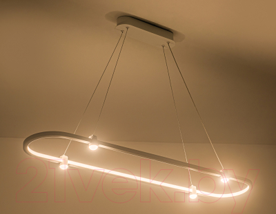 Потолочный светильник Ambrella Comfort / FL5588