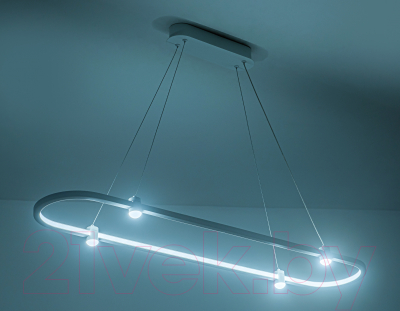 Потолочный светильник Ambrella Comfort / FL5588