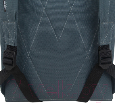 Рюкзак Grizzly RXL-423-5