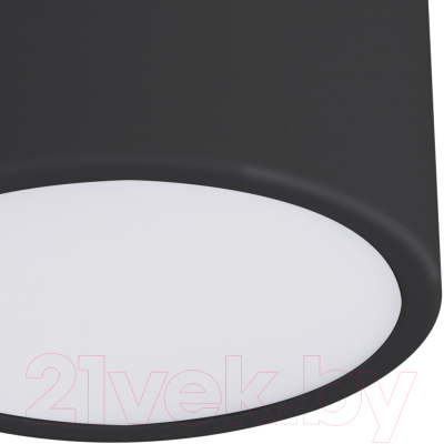 Потолочный светильник Kinklight Медина 05510.19 (черный)