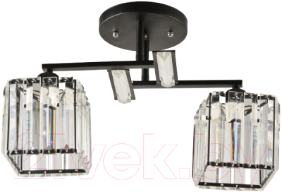 Потолочный светильник Mirastyle BL-14664/2 BK - фото