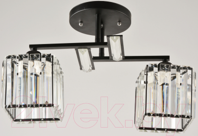 Потолочный светильник Mirastyle BL-14664/2 BK