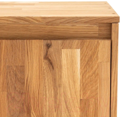 Тумба Dipriz Эдгар 2 двери Д.1290 (дуб/масло)