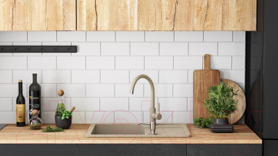 Мойка кухонная REA Dag ZLE-00113 (бежевый)