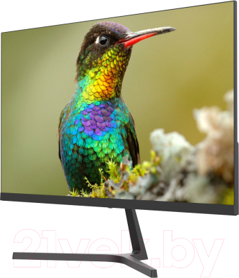 Монитор Sanc 24