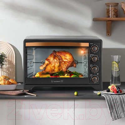 Ростер Endever Danko 4066