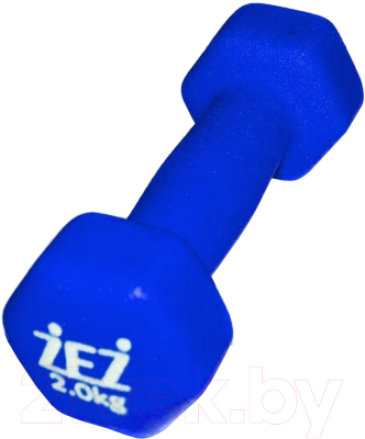 Гантель ZEZ Sport 2kg-N - фото