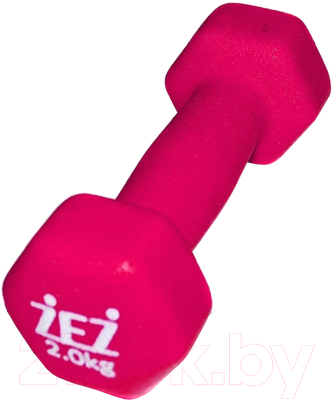 Гантель ZEZ Sport 2kg-N