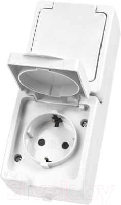 Розетка TDM Вуокса SQ1803-1009 - фото