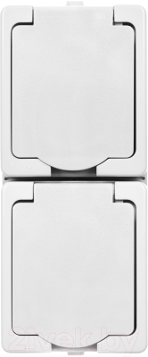 Розетка TDM Вуокса SQ1803-1009