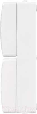 Розетка TDM Вуокса SQ1803-1009