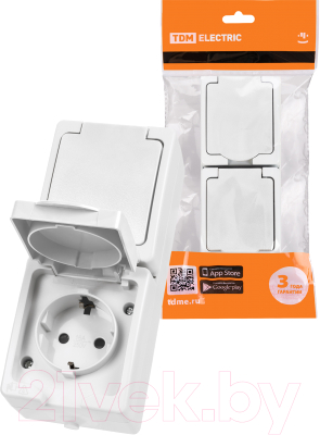 Розетка TDM Вуокса SQ1803-1009