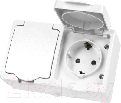 Розетка TDM Вуокса SQ1803-1008 - фото