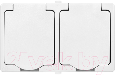 Розетка TDM Вуокса SQ1803-1008