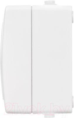 Розетка TDM Вуокса SQ1803-1008