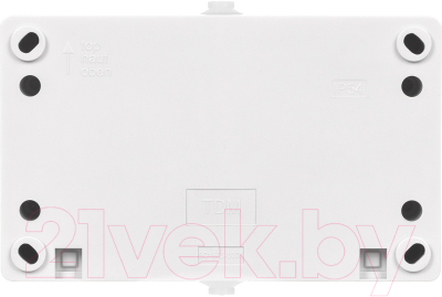 Розетка TDM Вуокса SQ1803-1008