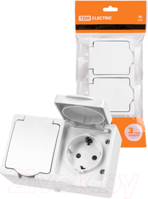 Розетка TDM Вуокса SQ1803-1008