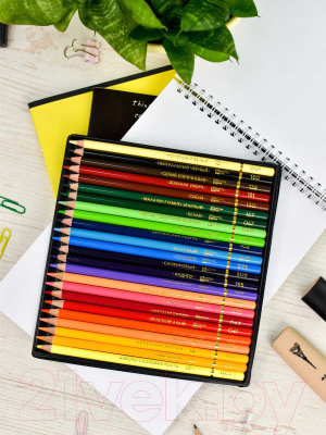 Набор цветных карандашей Феникс+ Классик / 64098