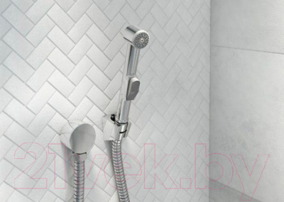 Гигиенический душ Deante Bidetta ANW 041B