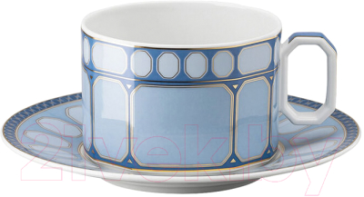 Чашка с блюдцем Rosenthal Signum Azure / 10570-426351-14640 - фото