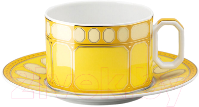 Чашка с блюдцем Rosenthal Signum Jonquil / 10570-426352-14640 - фото