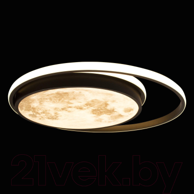 Потолочный светильник Loftit Luna 10217