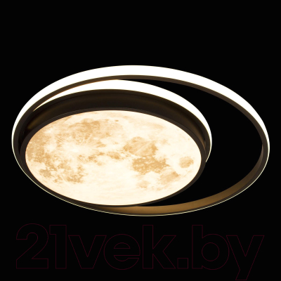 Потолочный светильник Loftit Luna 10217