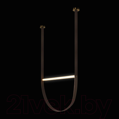 Потолочный светильник Loftit Liana 10221/2050