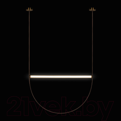 Потолочный светильник Loftit Liana 10221/2050