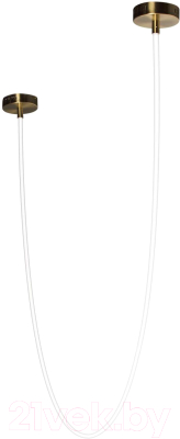 Потолочный светильник Loftit Lori 10230/3000 - фото