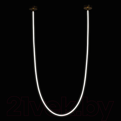 Потолочный светильник Loftit Lori 10230/4000