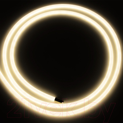 Потолочный светильник Loftit Lori 10230/4000