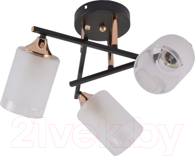 Люстра Rivoli Fiona 3163-303 / Б0059259 - фото