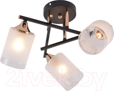 Люстра Rivoli Fiona 3163-303 / Б0059259