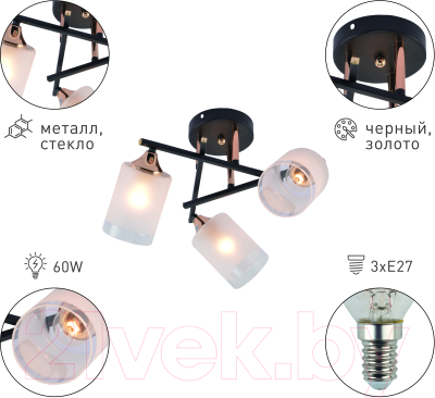 Люстра Rivoli Fiona 3163-303 / Б0059259