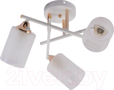 Люстра Rivoli Tammy 3162-303 / Б0059258 - фото