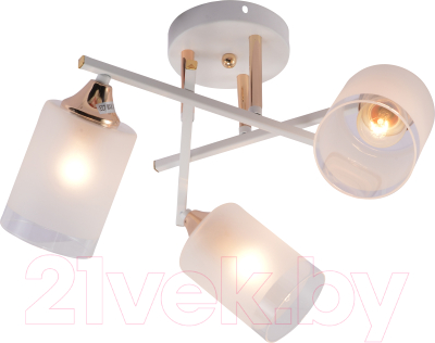 Люстра Rivoli Tammy 3162-303 / Б0059258