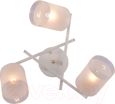 Люстра Rivoli Tammy 3162-303 / Б0059258