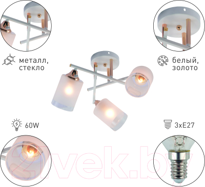 Люстра Rivoli Tammy 3162-303 / Б0059258