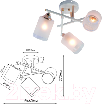 Люстра Rivoli Tammy 3162-303 / Б0059258