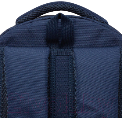 Школьный рюкзак Grizzly RG-460-2