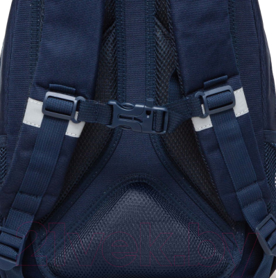 Школьный рюкзак Grizzly RG-460-2