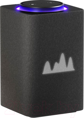 Умная колонка Яндекс Станция Макс с Zigbee YNDX-00053K (черный) - фото