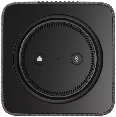 Умная колонка Яндекс Станция Макс с Zigbee YNDX-00053K (черный)